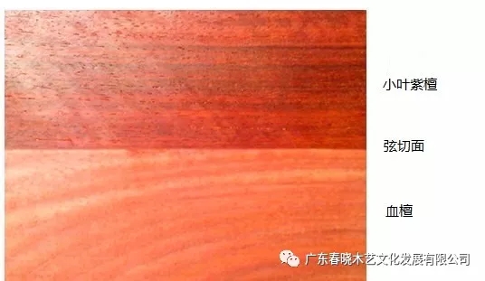 血檀和小葉紫檀到底有多像？（圖文并茂）(圖3)